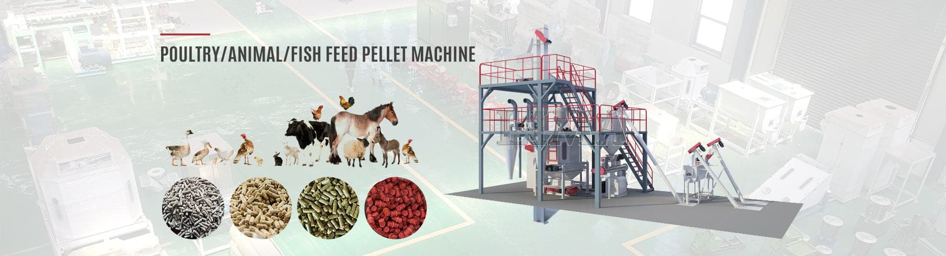 Fish feed machine
